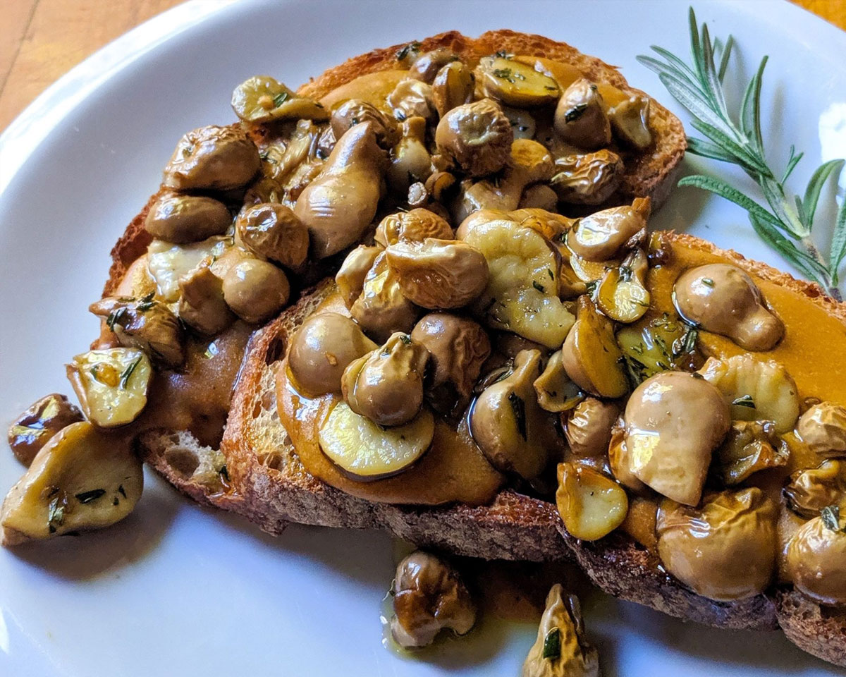 Mushroom Toast