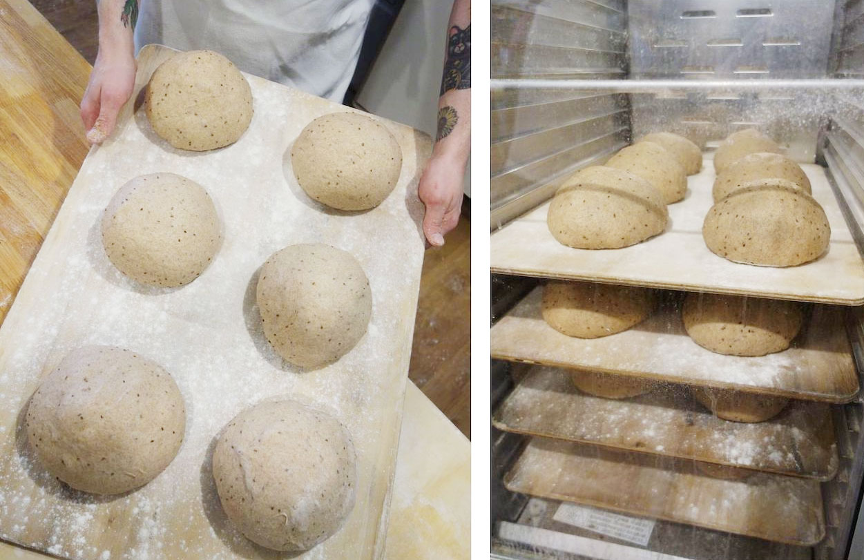 Proofing Bread Dough